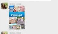博兴事件爆料最新消息今天,真相大白，官方回应引关注