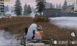 和平精英新载具爆料最新,神秘飞行器引玩家热议，未来战场格局将如何改变？