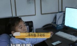 豪华品牌车友群爆料视频,揭秘顶级豪华品牌车友圈最新动态