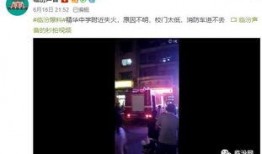 爆料视频最新,最新爆料视频曝光惊人内幕