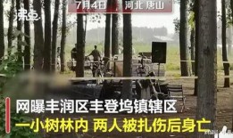 唐山小黄沙爆料事件视频,真相与争议的交织