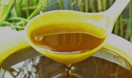 爆料榨菜籽油热点视频,热点视频背后的真相与争议