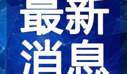 教官王者爆料视频大全最新,揭秘神秘视频大全背后的真相与精彩瞬间