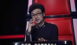 刘亦菲爆料汪峰视频,揭秘背后惊人真相！