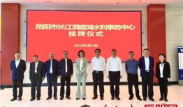 岳阳最新新闻爆料电话,揭秘城市动态，倾听市民心声