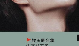 推文娱乐圈爆料的小说,揭秘小说背后的真实故事