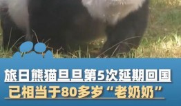大象新闻爆料电话,揭秘背后惊人真相
