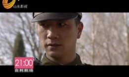 夜隼29全集在线观看,揭秘神秘任务背后的惊心动魄