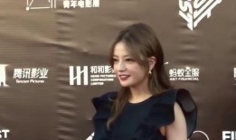 陈晓爆料赵薇视频,背后真相令人震惊