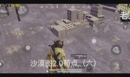 和平精英最新设备爆料,揭秘未来战场利器