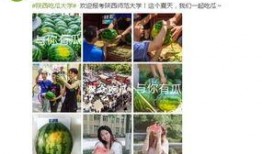 最新吃瓜爆料学院,最新热门事件幕后真相大曝光