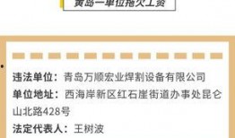 拖欠工资今日头条最新爆料,揭秘企业违规行为背后的真相