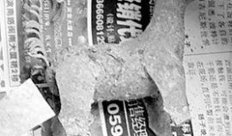 明朝爆料最新,揭秘宫廷秘闻与权谋斗争