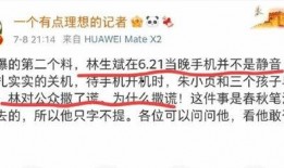 理记最新爆料,揭秘科技巨头背后惊人内幕