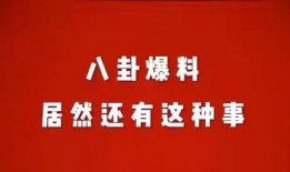 娱乐花边八卦爆料,明星们的幕后故事与惊人真相