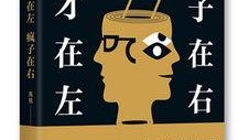 天才在左疯子在右在线观看,揭秘“天才在左疯子在右”的在线观看之旅