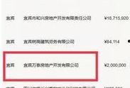 宜宾房地产爆料最新消息,最新爆料揭示房价走势与热门项目盘点