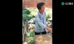 最强吃瓜视频免费观看,免费畅享娱乐盛宴！