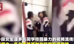 保定爆料女孩视频大全集,揭秘背后真相与争议