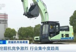 爆料有人开挖掘机吗视频,是谁在深夜开挖掘机？