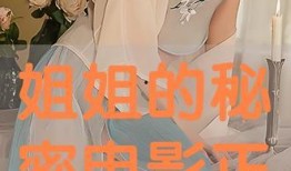 姐姐的秘密在线观看,一场家庭情感的深度探索之旅