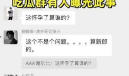 吃瓜qq群免费聊天记录,免费聊天记录背后的欢乐与争议