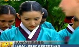 大长今在线观看国语版,宫廷传奇，智慧与勇气的交织