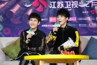 娱乐吃瓜 大爆料,大爆料背后的真相与内幕