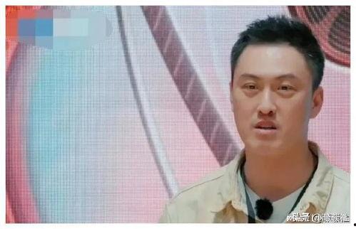 因为吃瓜爆红娱乐圈,从吃瓜爆红到娱乐圈的璀璨新星